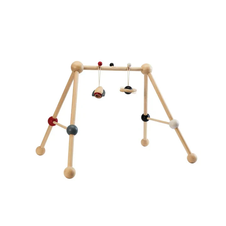 Plan Toys Play Gym