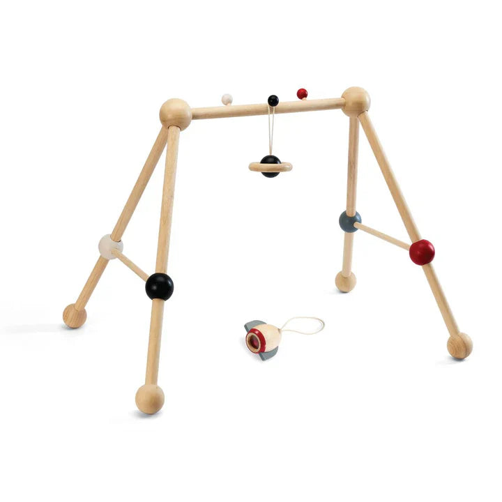 Plan Toys Play Gym