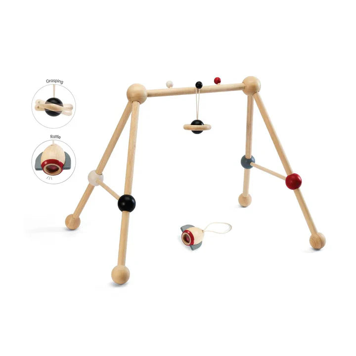 Plan Toys Play Gym