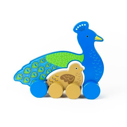 Big & Little Push Toys