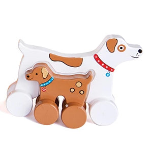 Big & Little Push Toys