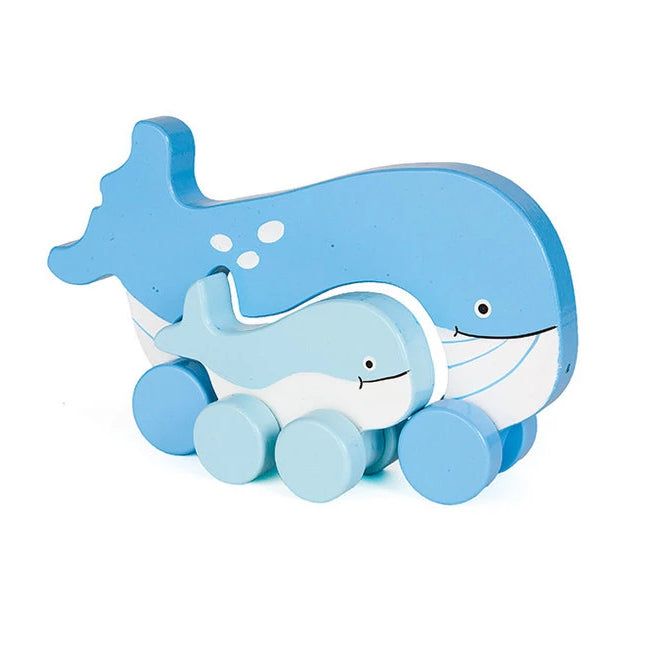 Big & Little Push Toys